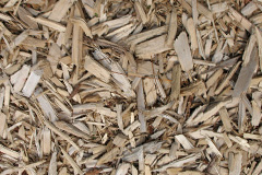 biomass boilers Kuggar
